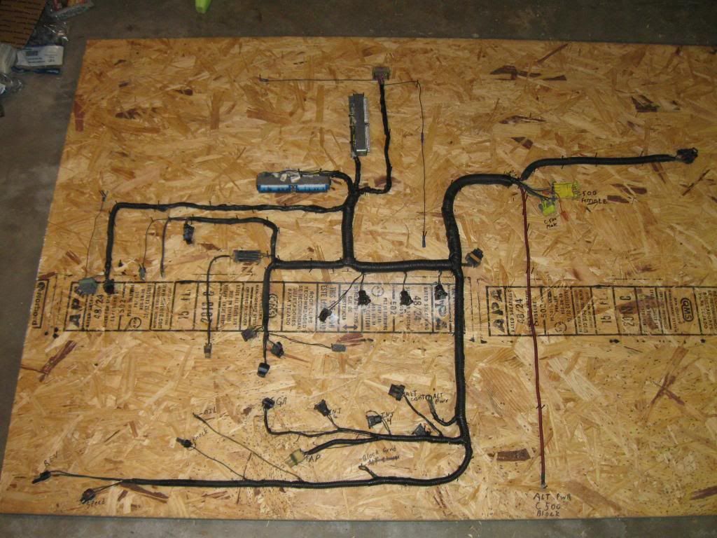 Build A Wiring Harness
